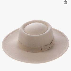 Stylish Fedora Wide Brim Hat NWT